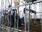 Ford TW 25, Thorum